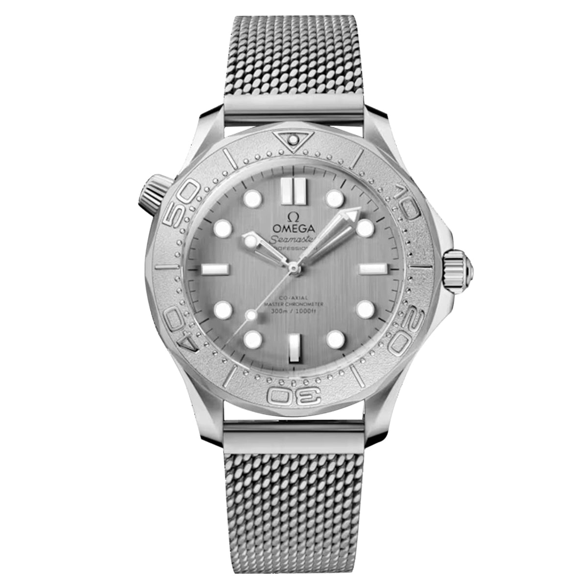 Omega Seamaster Diver 300M 42mm - Steel - Silver Dial Ref. # 210.30.42.20.06.002