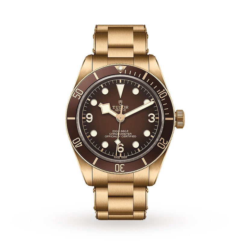 Tudor Black Bay 58 Bronze Ref. # M79012M-0001