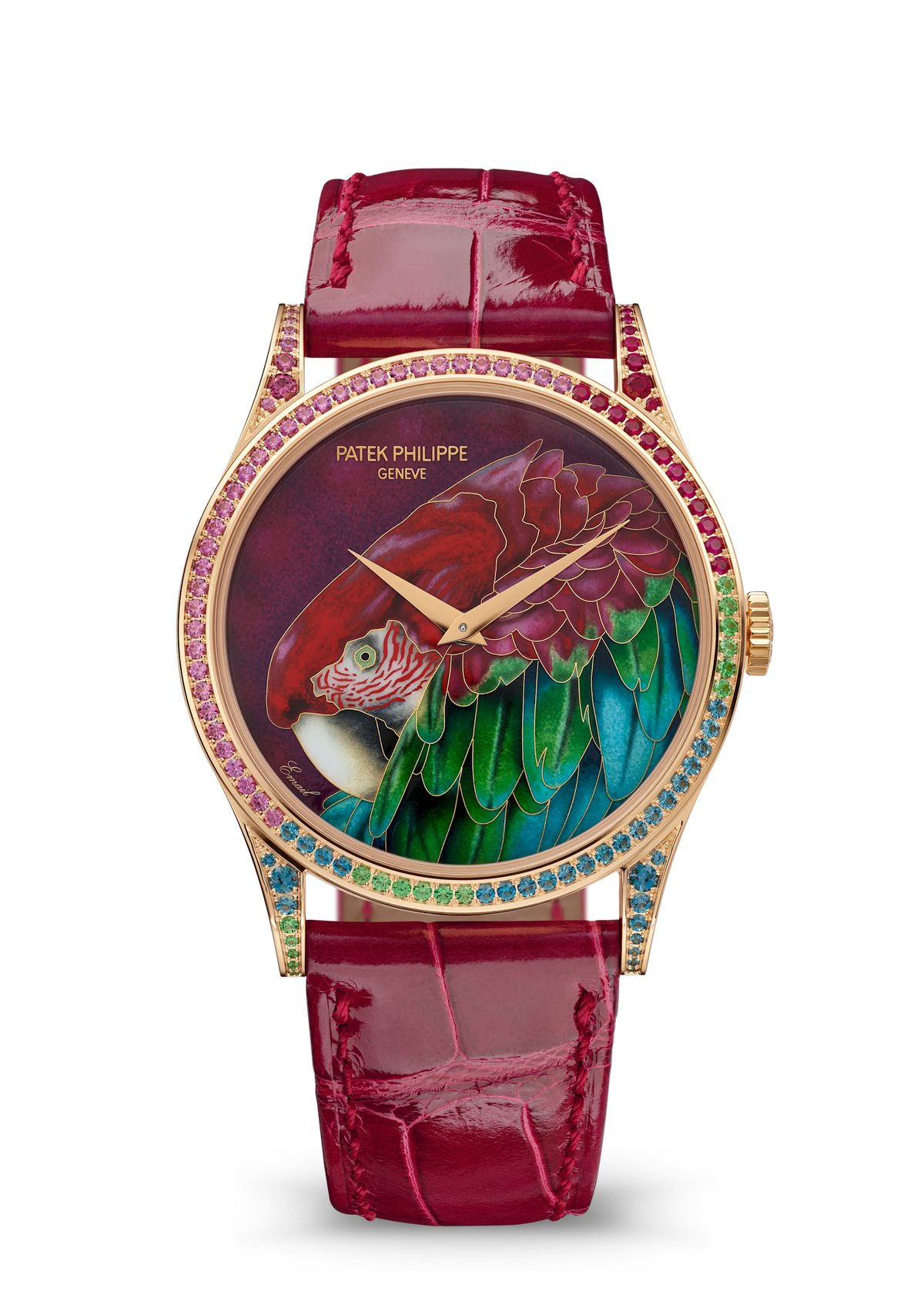 Patek Philippe Rare Handcrafts Calatrava “Green-Winged Macaw” - Rose Gold - Miniature-Painted Enamel Dial Ref. # 5077/211R-001