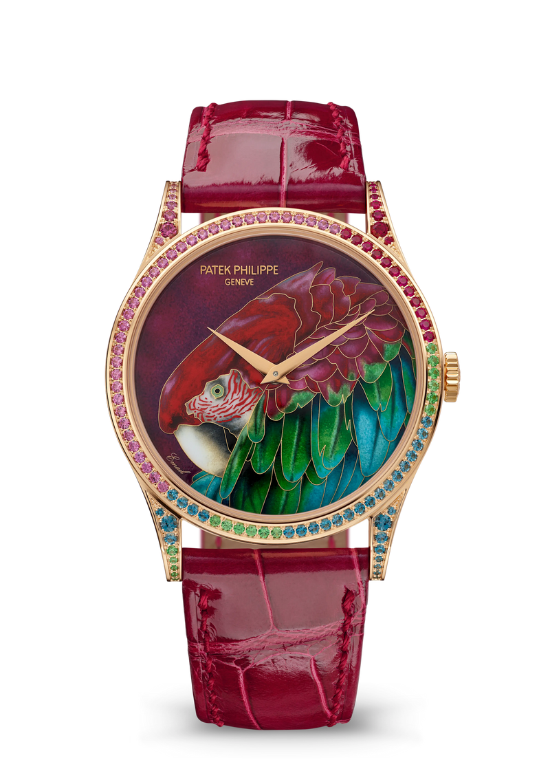 Patek Philippe Rare Handcrafts Calatrava “Green-Winged Macaw” - Rose Gold - Miniature-Painted Enamel Dial Ref. # 5077/211R-001