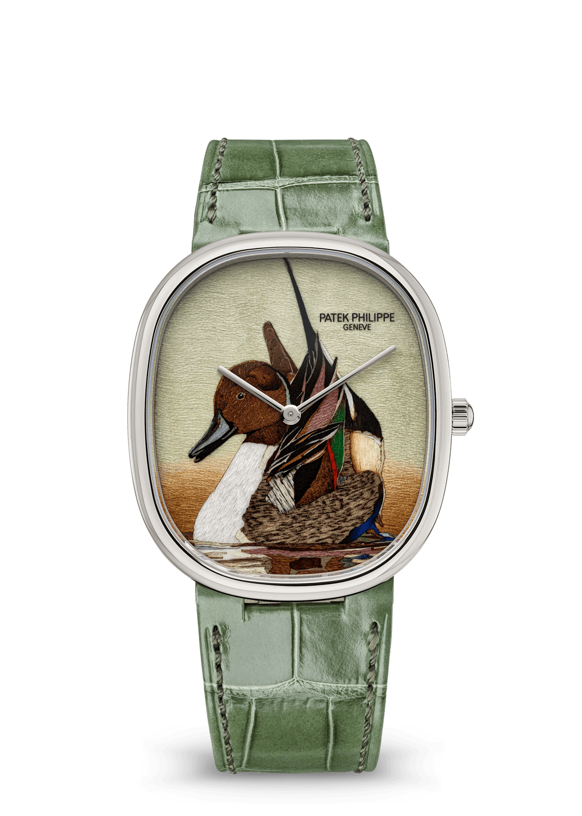 Patek Philippe Rare Handcrafts Golden Ellipse “Northern Pintail” - White Gold - Wood Marquetry Dial Ref. # 5738/50G-047